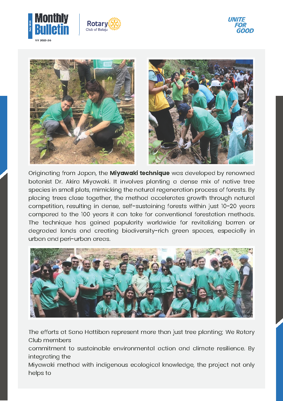 Tree Plantation