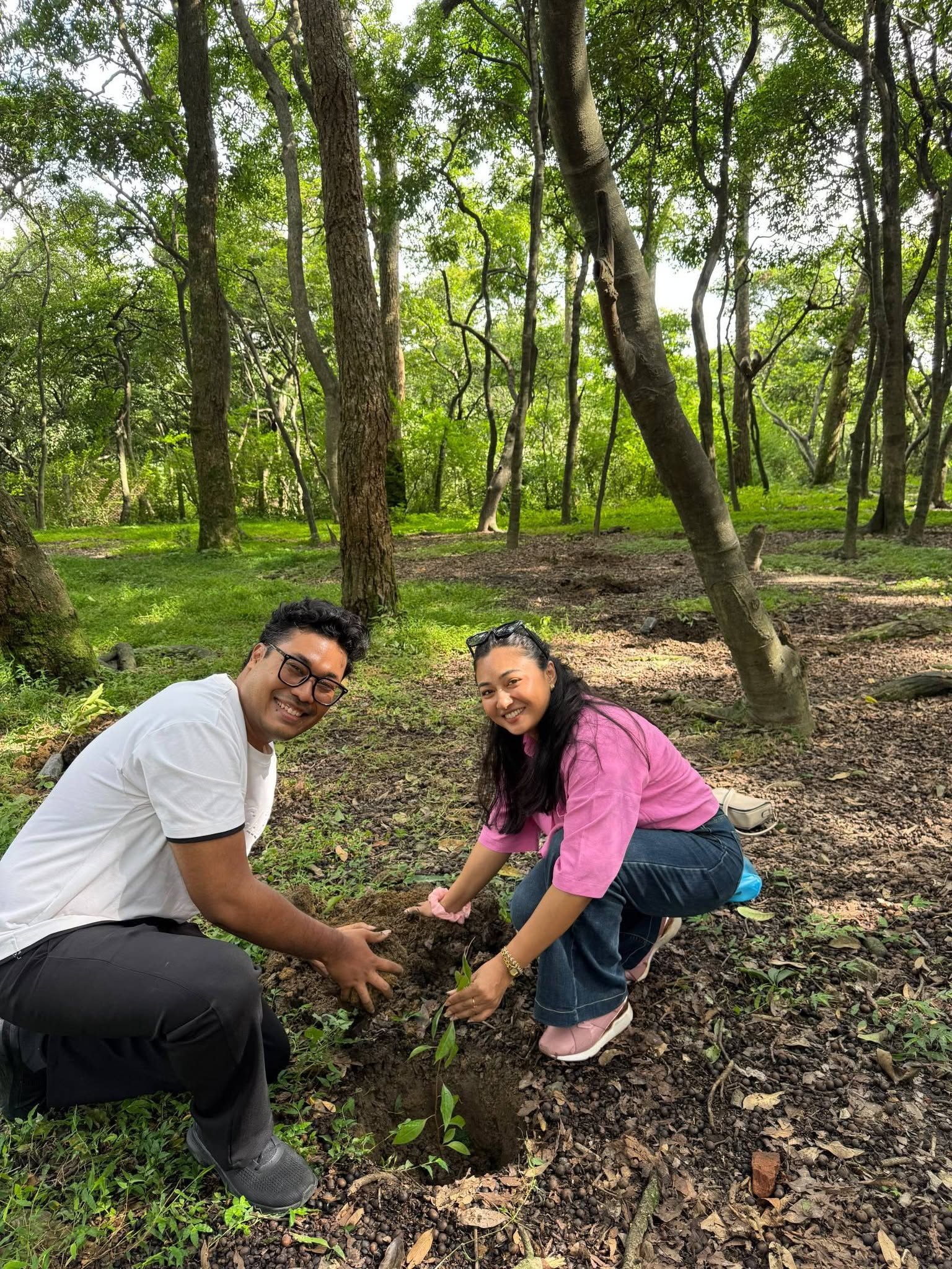 Nationwide Tree Plantation Program